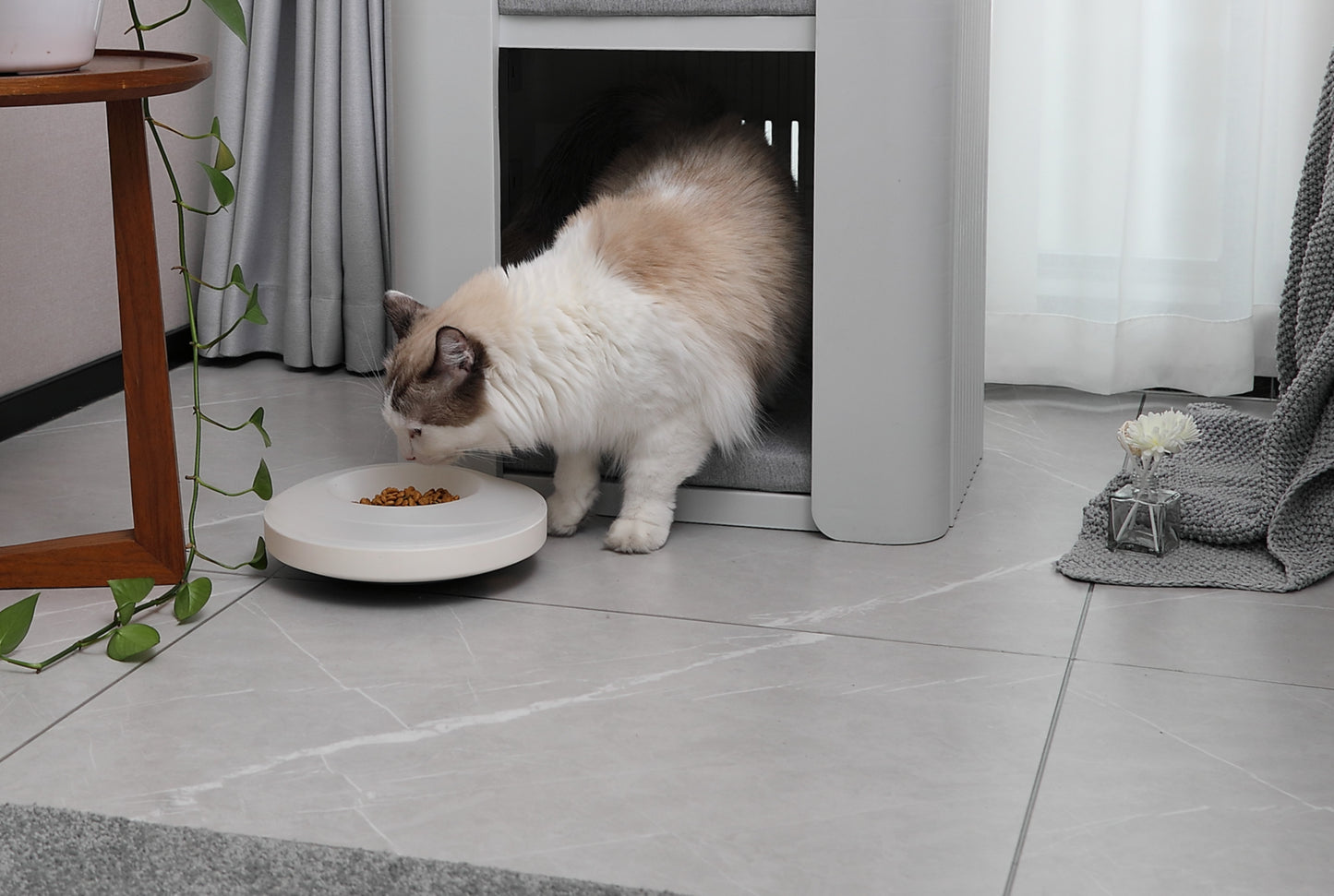 Slow Feeding Pet Bowl