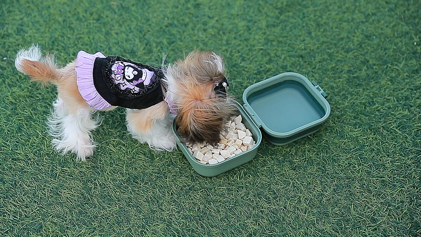 Collapsible Pet Travel Bowl