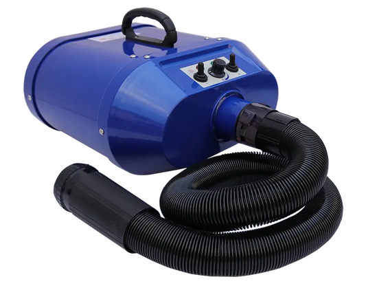 Turbo Blast D2800 Classic Dual Motor Blower
