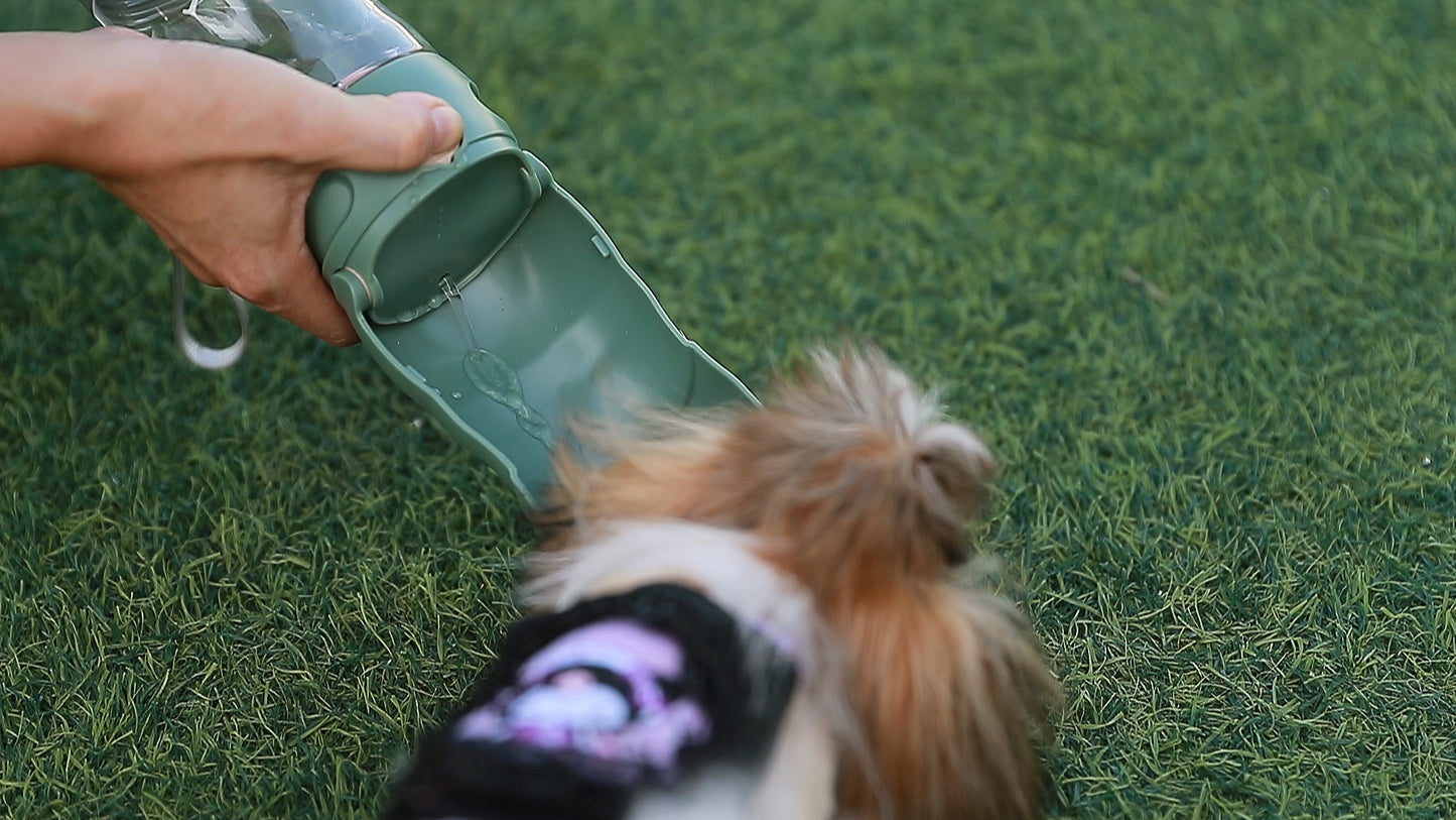 Portable Pet Water Bottle & Feeder