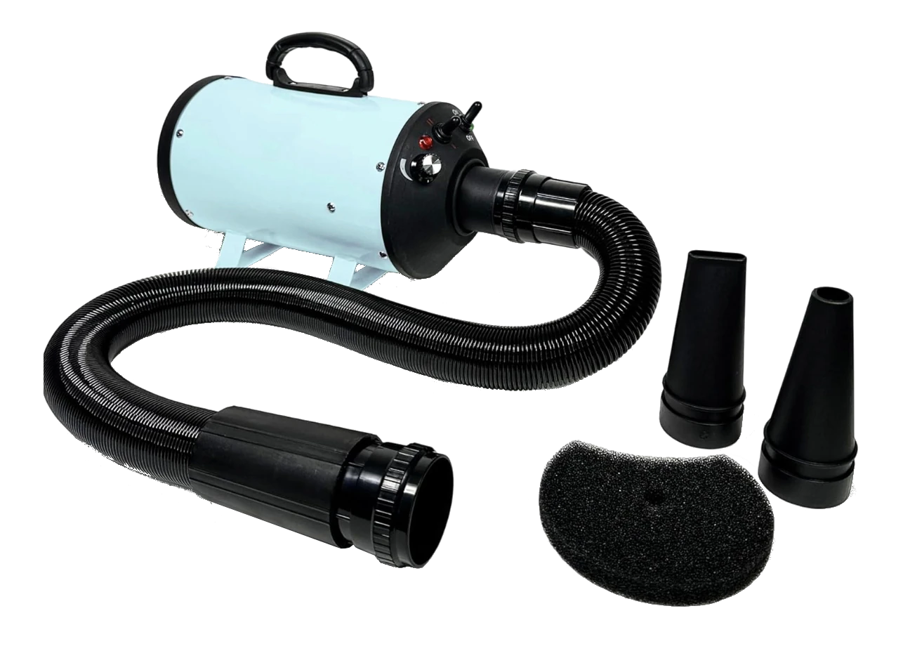 Power Blast S2200 Classic Single Motor Blower