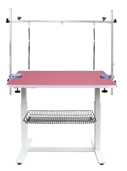 Large Electric Grooming Table EG600