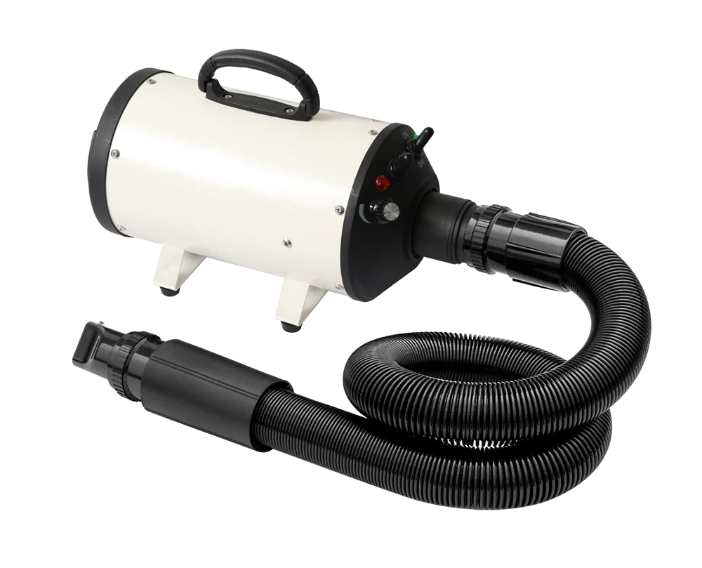 Power Blast S2200 Classic Single Motor Blower