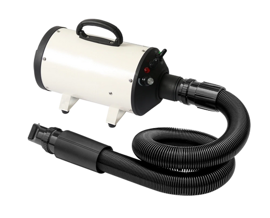 Power Blast S2200 Classic Single Motor Blower